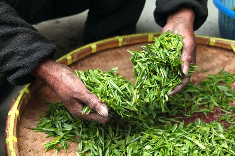 Magic Harvesting