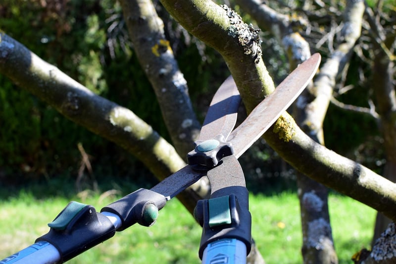 Enchanted Pruning Shears